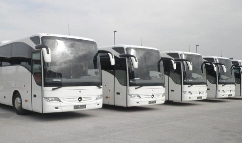 Gelderland: Bus company in Beuningen in Beuningen and Netherlands