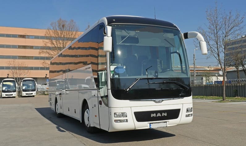 North Brabant: Buses operator in Tilburg in Tilburg and Netherlands
