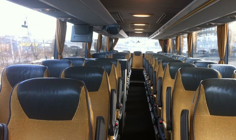 Flanders: Coaches company in Antwerp in Antwerp and Turnhout